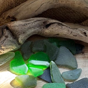 Puede incluir: Una colección de vidrio de mar en tonos verdes y grises, con algunas piezas de color azul oscuro. Las piezas de vidrio están dispuestas sobre una superficie de madera, con un trozo de madera flotante en el fondo. El vidrio de mar tiene un aspecto liso y esmerilado.