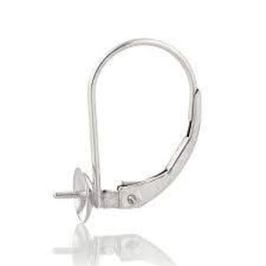 May include: Silver earring hook with a small, round, flat disc at the bottom. The hook is designed to hold a charm or pendant.
