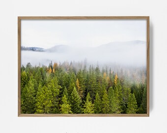 Forest Print, Fog Forest Art, Printable Fog Wood, Green Nature, Minimalist Nature Wall Art, Forest Mist, Minimalist Wall Art, Scandanavian