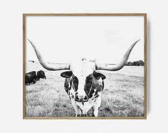 bw steer print, bw longhorn print, longhorn wall art, longhorn art, longhorn print, cow print, steer print, steer wall art, bw country decor