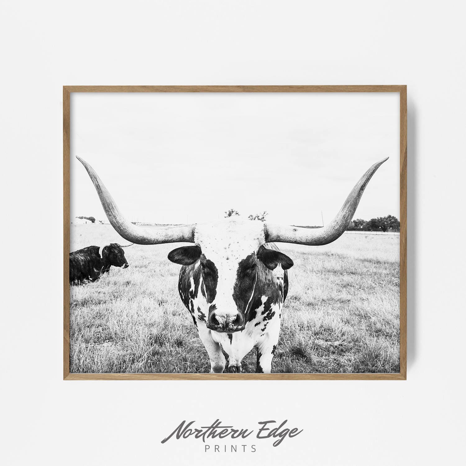 Bw steer print bw longhorn print longhorn wall art longhorn art longhorn print cow print steer print steer wall art bw country decor