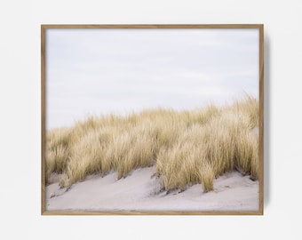 beach grass print, sand grass art, autumn beach art, beach photo, pastel decor, beautiful beach print, beach house art, coastal decor, bach