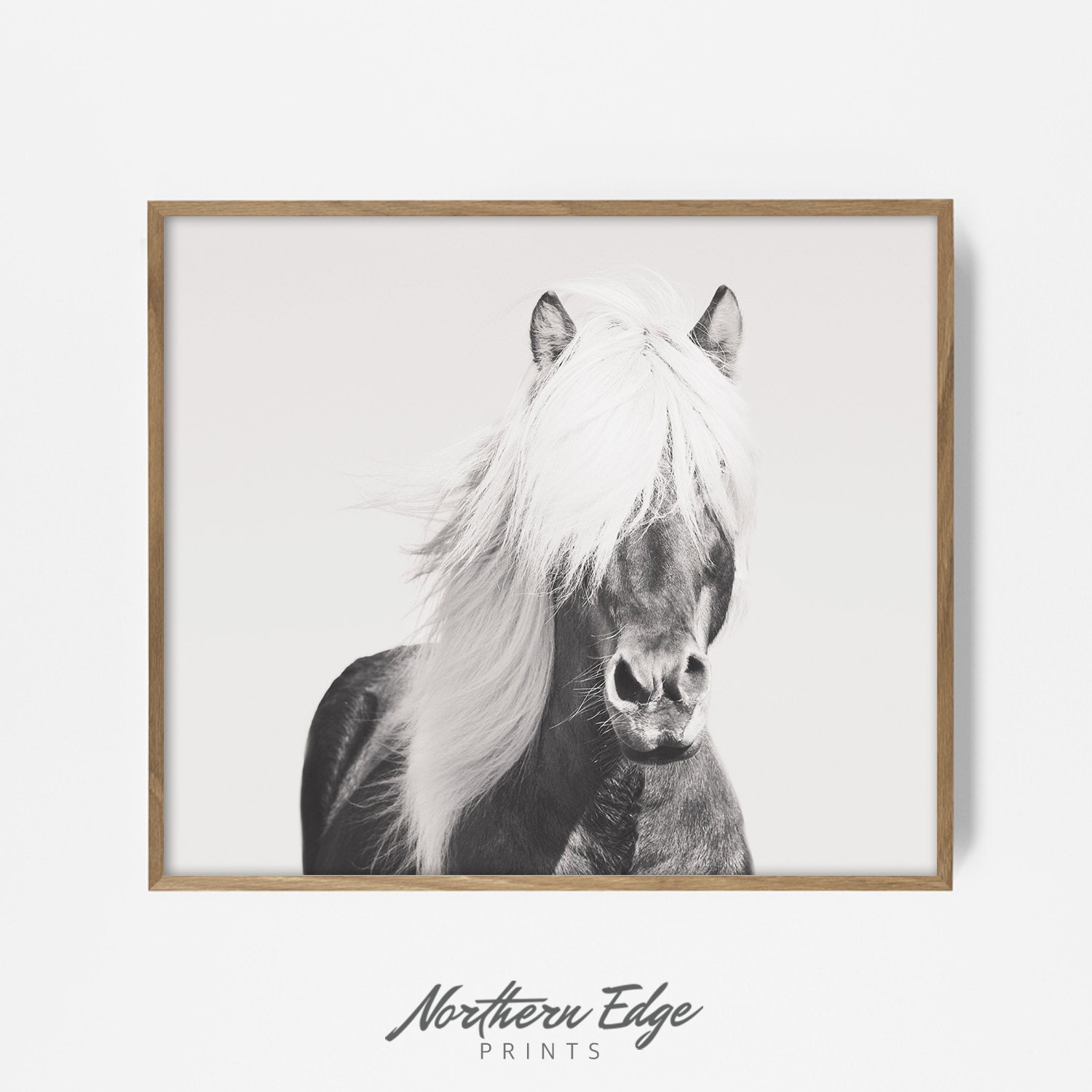 BW Horse Printable Horse Art Black and White Wall Art Etsy