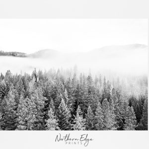 Forest Print, Fog Forest Art, Printable Fog Wood, Black and White ...