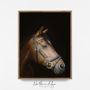thoroughbred horse, brown horse print, horse photo, equestrian print, equestrian photo, equestrian decor, western decor, southwest decor