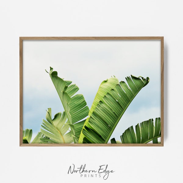 banana leaf print, tropical leaf wall art, printable banana tree art, blue green print, tropical wall decor, summer wall art, bohemian decor