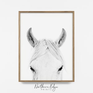 peekaboo white horse print, beautiful horse decor, horse photo, equestrian print, equestrian photo, equestrian decor, southwest horse decor