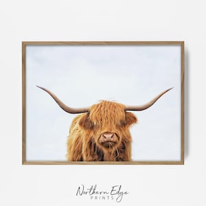 highland cow print, longhorn print, highland cattle art, longhorn print, cow print, steer print, farmhouse wall art, country decor 20223