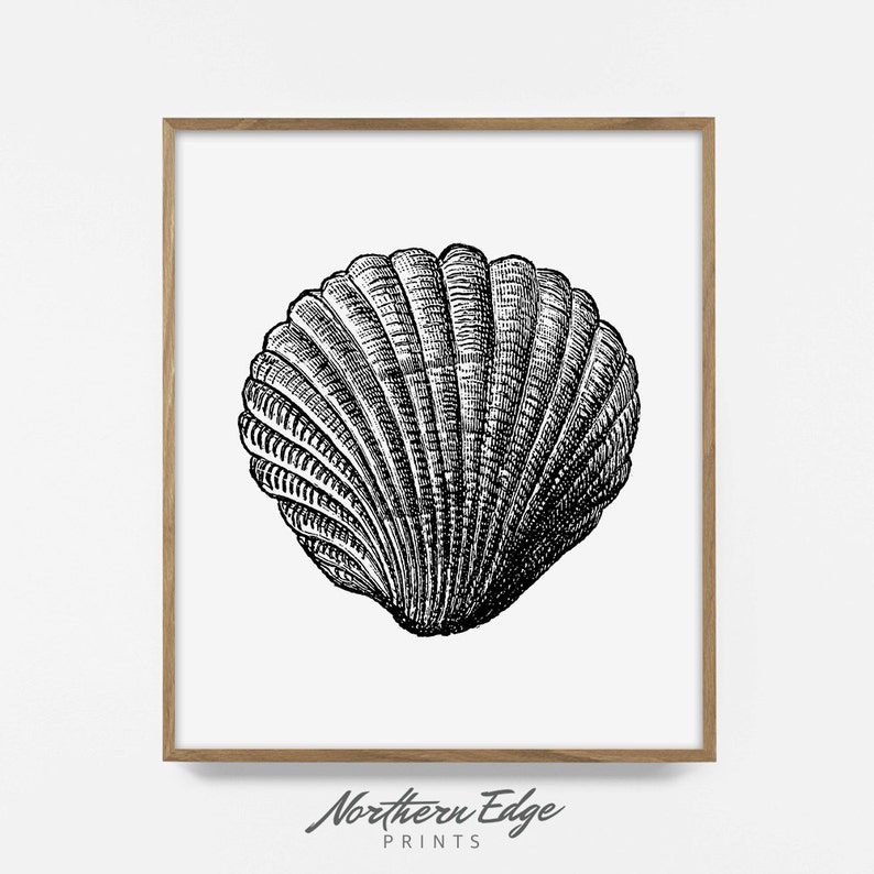 Sea Shell Tropical Beach Art Artistic Poster Printable Print Posters Summer Wall Art Printable Poster Digital