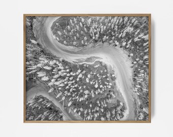 bw arial photograph, arial nature print, arial nature art, tree top print, forest art, forest print, arial shot, arial wall art, printable