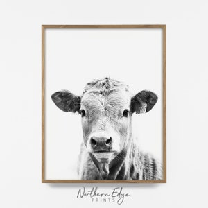 country cow print, farmhouse wall art, cow art, southwest print, country decor, farm print, farmhouse decor, country artwork, southwest art