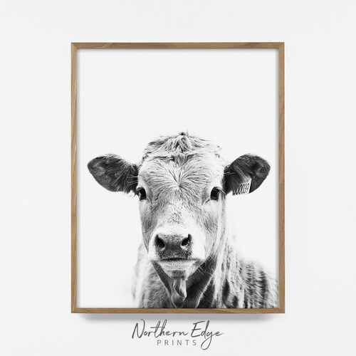 Country Cow Print Farmhouse Wall Art Cow Art Southwest Etsy
