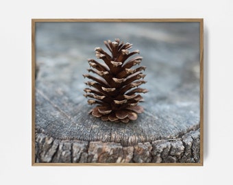 May include: A framed print featuring a close-up of a brown pine cone on a weathered, gray tree stump. The print has a natural, rustic aesthetic. The words "Northern Edge Prints" are at the bottom.