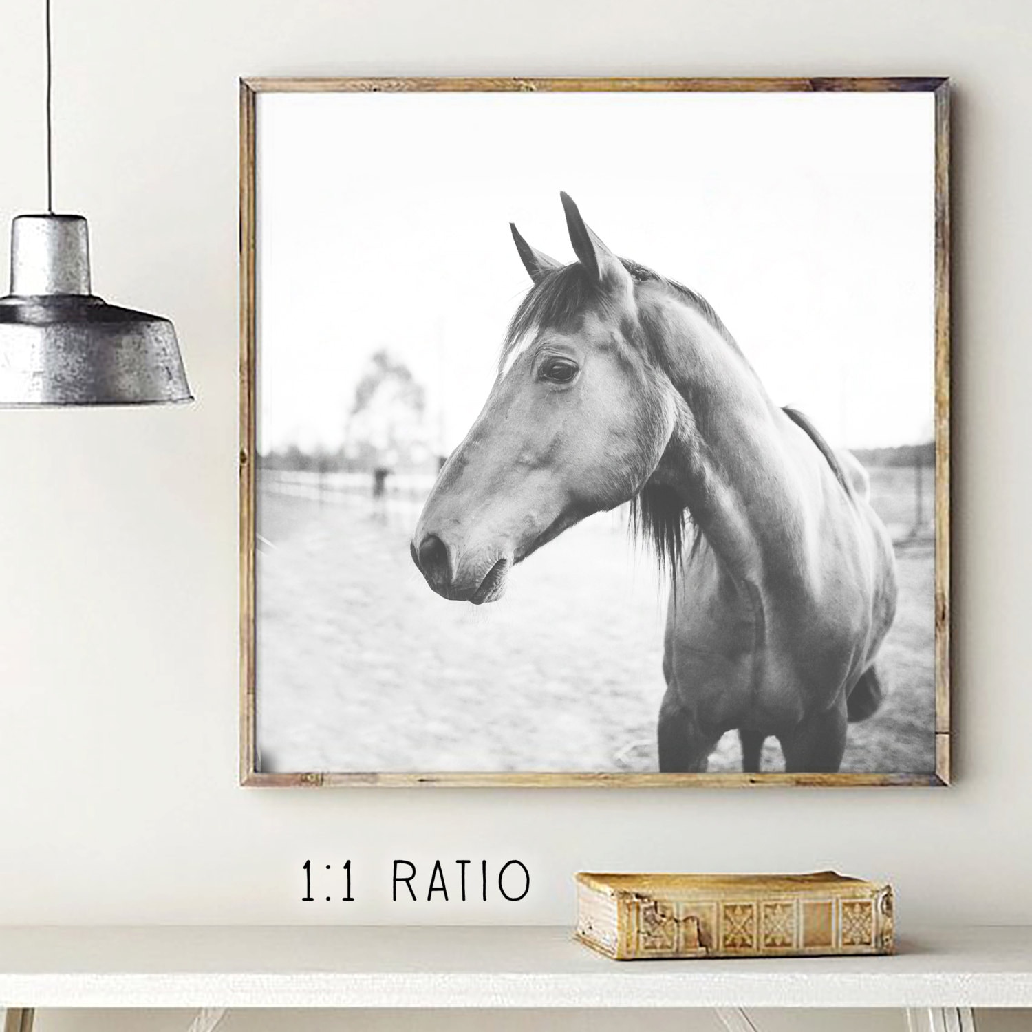 Horse Print Black and White Horse Photo Printable Horse - Etsy