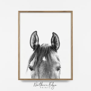 vertical horse, bw horse print, horse photo, equestrian print, equestrian photo, equestrian decor, western decor, southwest decor, bw print