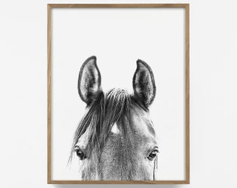 vertical horse, bw horse print, horse photo, equestrian print, equestrian photo, equestrian decor, western decor, southwest decor, bw print