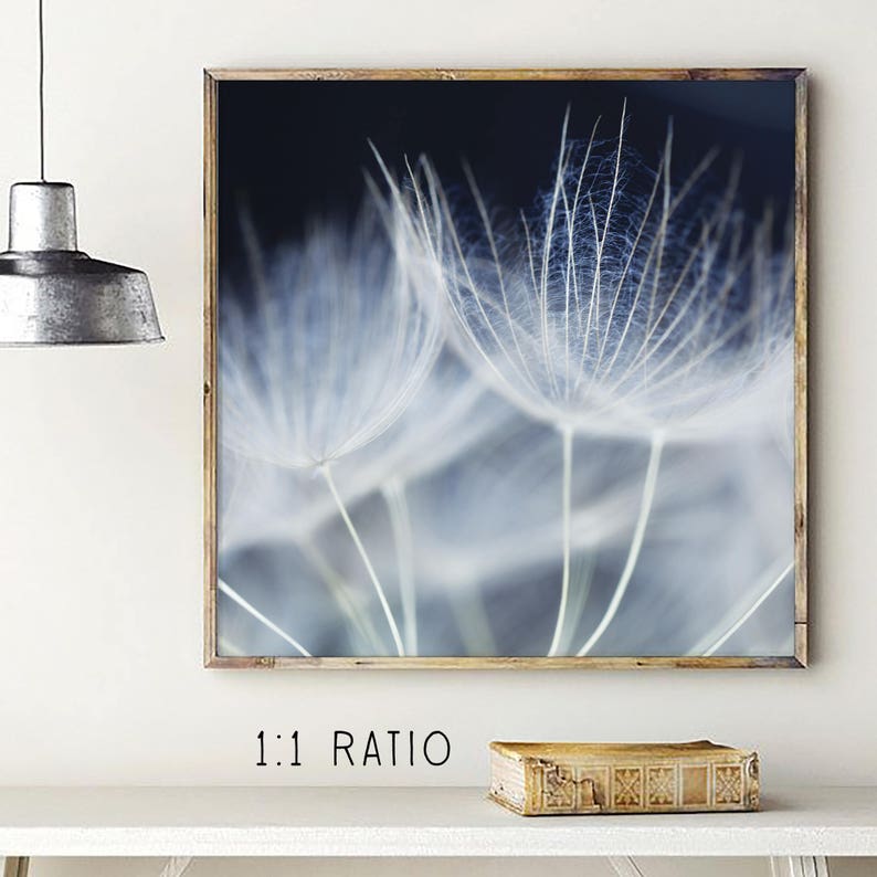 Macro Dandelion Print Macro Wall Art Macro Photography Etsy
