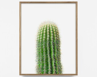 cactus print, southwest wall art, cactus wall art, cactus photography, diy cactus art, printable wall art, boho print, botanical 2019101