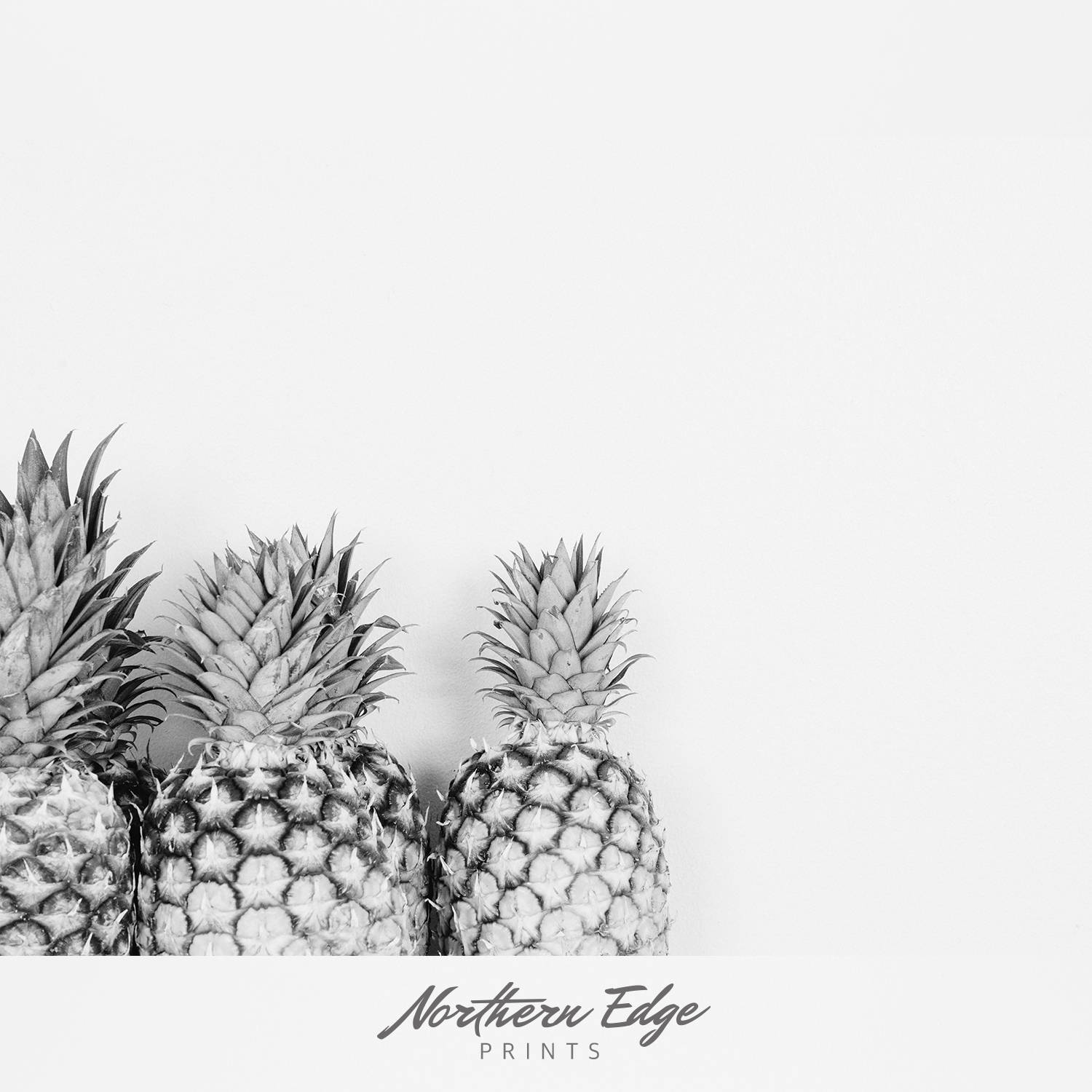 Bw Pineapples Pineapple Print Cute Pineapple Print Etsy