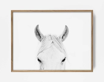 peekaboo white horse print, beautiful horse decor, horse photo, equestrian print, equestrian photo, equestrian decor, southwest horse decor