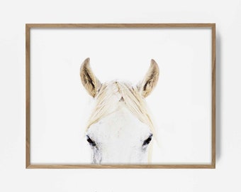 white horse print, equestrian wall art, white horse photo, horse print, equestrian photo, horse decor, western decor, southwest horse decor