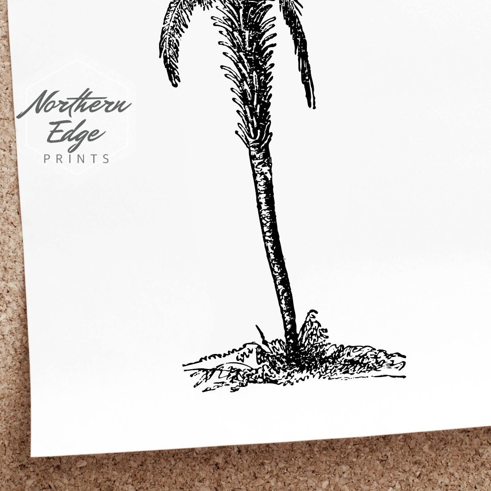 Palm Tree Printable Print Tropical Beach Summer Posters - Etsy