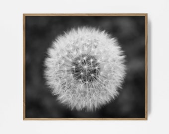 Dandelion Printable Photography, Black & White, Photo, Make A Wish Decor, Wall Collage, Dandelion Art, Dandelion Print, Make A Wish, Wish