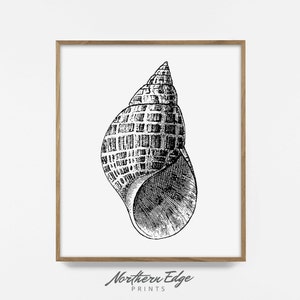 Muskatnussschale, bedruckbarer Druck, tropisch, Strand, Sommer, Poster, Wandkunst, Wanddekor, Kunstposter, druckbare Poster, digitaler Download