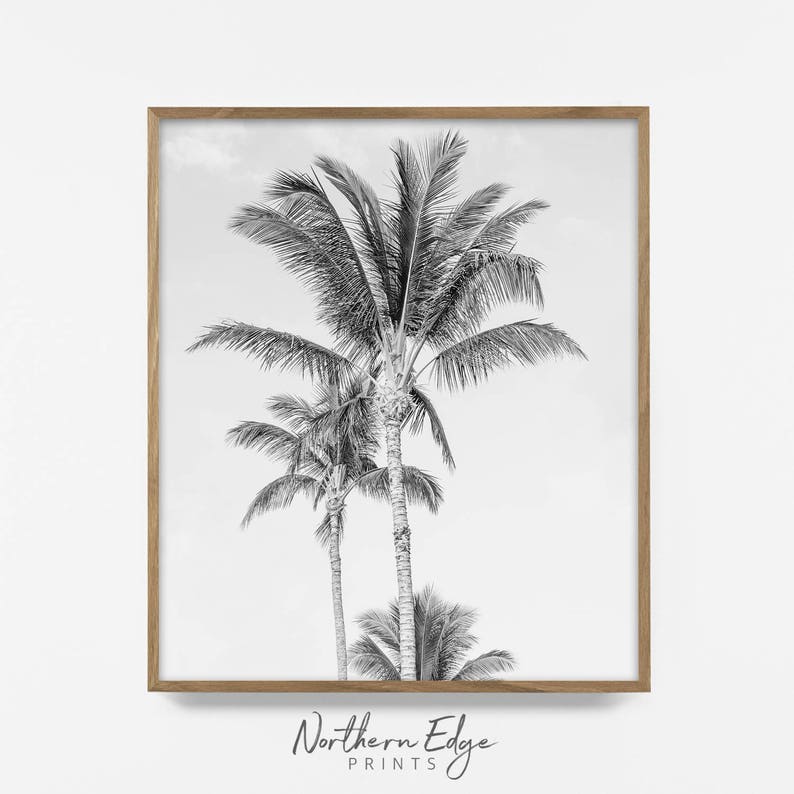 Black and White Palm Tree Art Wall Decor Palm Art Print Bw Etsy