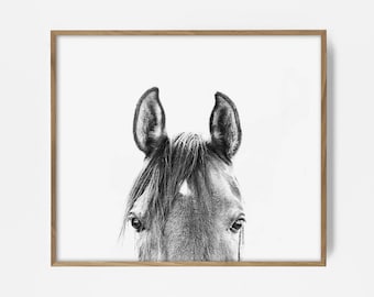 peekaboo horse, bw horse print, horse photo, equestrian print, equestrian photo, equestrian decor, western decor, southwest decor, bw print