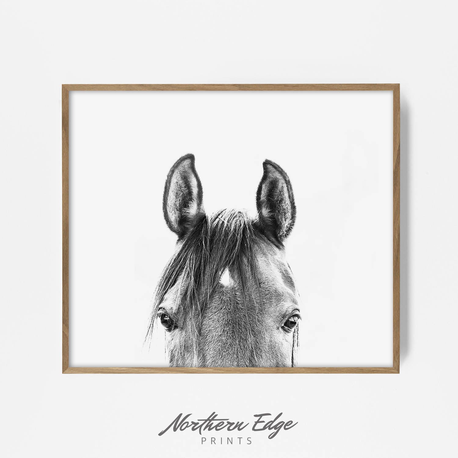 peekaboo horse, bw horse print, horse photo, equestrian print, equestrian photo, equestrian decor, western decor, southwest decor, bw print