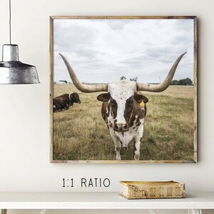 May include: Framed print featuring a Longhorn steer with large horns, brown and white markings, and a yellow ear tag. The steer stands in a grassy field under a cloudy sky. Another steer rests in the background. The frame is a light brown color.