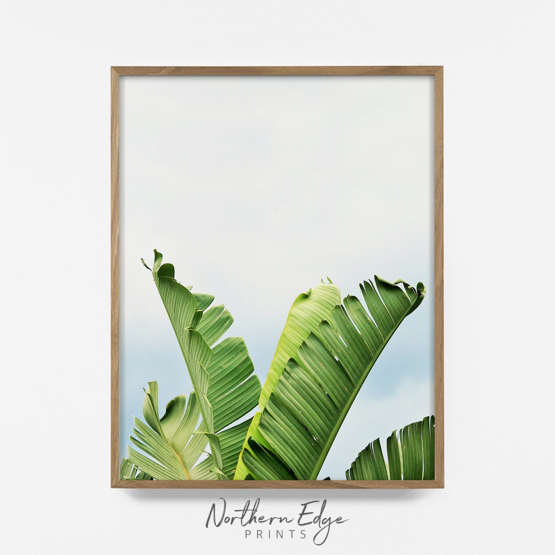 Banana Leaf Print, Tropical Leaf Wall Art, Printable Banana Tree Art