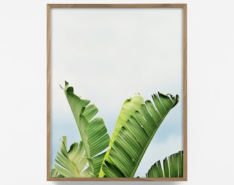 banana leaf print, tropical leaf wall art, printable banana tree art, blue green print, tropical wall decor, summer wall art, bohemian decor