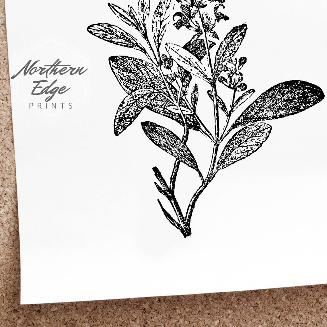 Sage Printable Print Kitchen Wall Art Dill Art Herb - Etsy