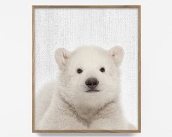 polar bear, zoo animal nursery art, printable, poster, modern minimalist decor, kids room, baby animals, nursery prints baby gift, 5x7, 8x10