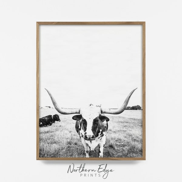 bw steer print, longhorn print, longhorn wall art, longhorn art, farmhouse print, cow print, steer print, steer wall art, bw country decor