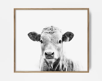 bw cow print, cow wall art, steer print, bw southwest print, country decor, farm print, farm house decor, country wall art, southwest art