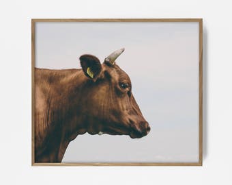 steer print, country print, country wall decor, farmhouse wall art, farmhouse decor, southwest print, western art, southwest steer print