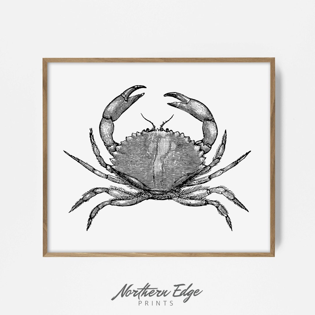 Sea Crab, Printable Print, Tropical, Beach, Summer, Posters, Wall Art, Wall Décor, Artistic ...