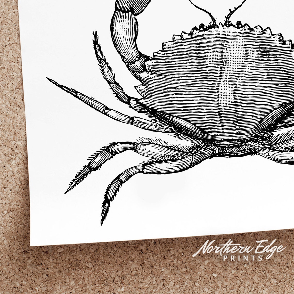 Sea Crab Printable Print Tropical Beach Summer Posters | Etsy