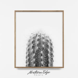 Pastel Cactus Print, Boho Printable Wall Art, Cactus Wall Art, Boho Prints, Cactus Digital Print, Boho Print, Cactus Photography Boho Poster