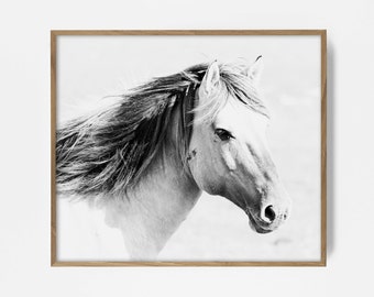 Impresión de caballo, fotografía ecuestre, arte mural con impresión de caballo, foto de caballo, impresión de naturaleza, arte ecuestre imprimible, caballo blanco y negro, campo