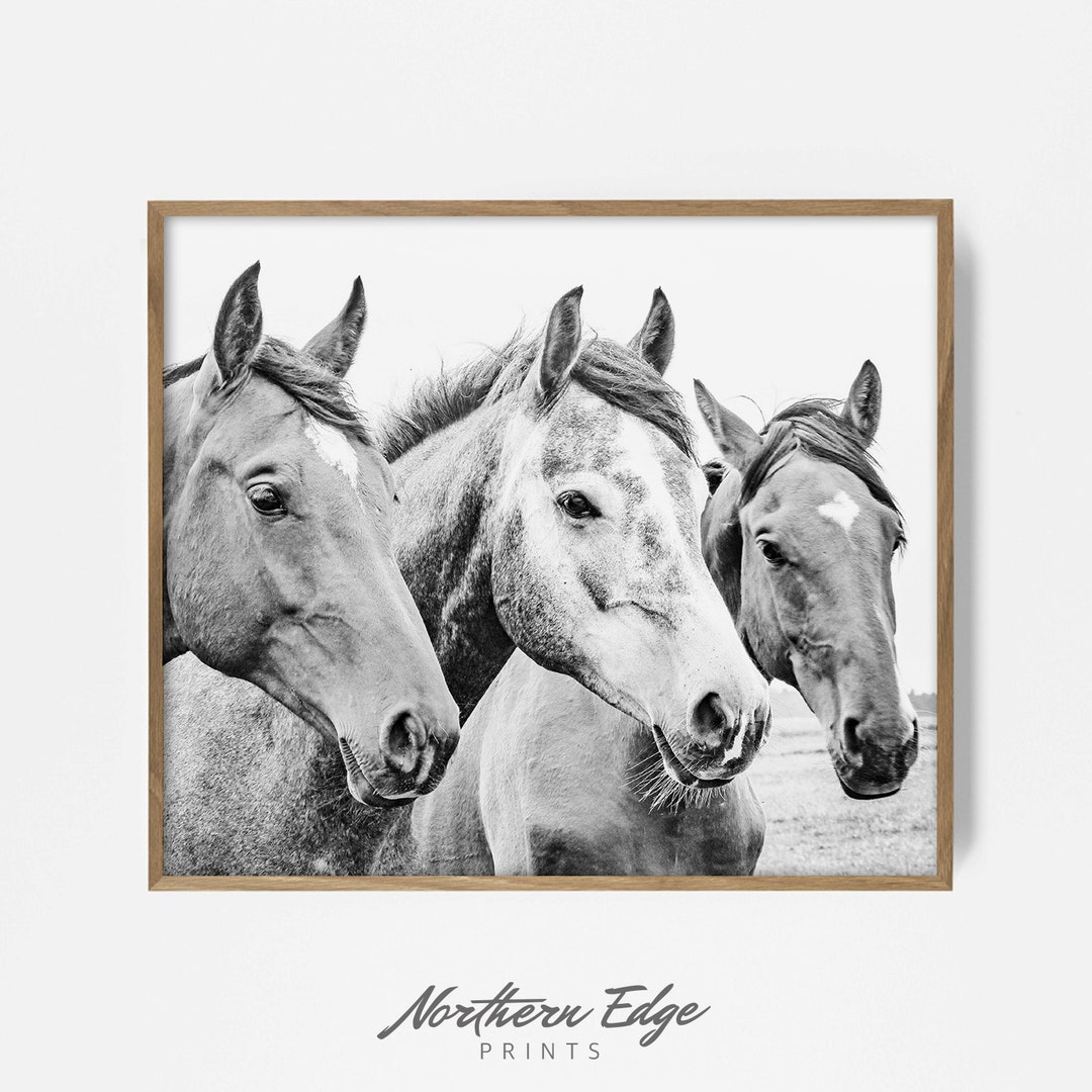 Horse Print, Printable Wall Art, Equestrian Artwork, Boho Wall Art ...