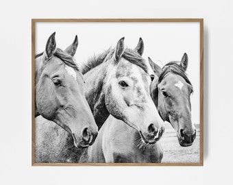 Impresión de caballo, arte mural imprimible, obra de arte ecuestre, arte mural bohemio, foto de caballo, arte de caballo en blanco y negro, decoración de caballos, decoración del suroeste, decoración campestre