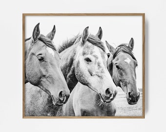 Horse Print, Printable Wall Art, Equestrian artwork, Boho Wall Art, Horse Photo, BW Horse Art, Horse Decor, Southwest Decor, Country Decor