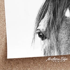 peekaboo horse, bw horse print, horse photo, equestrian print, equestrian photo, equestrian decor, western decor, southwest decor, bw print image 7