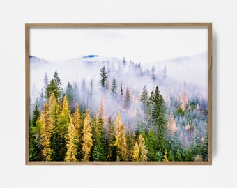 scandinavian forest fog print, pine fog wall art, minimalist wall print, woodland fog print, woodland print, bw rustic photo, pine tree art