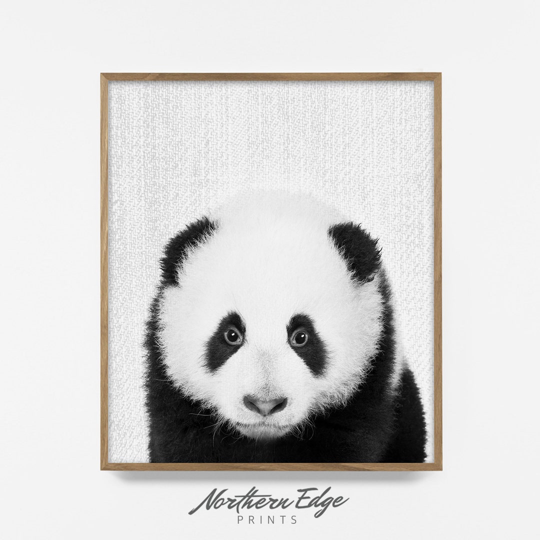 BW Panda Print, Printable Panda Print, Peekaboo Animal Art, Zoo Nursery ...