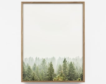 arial forest print, tree top print, wall art, woodland print, forest print, arial fog tree photo, arial pine art, drone wall print, tree art